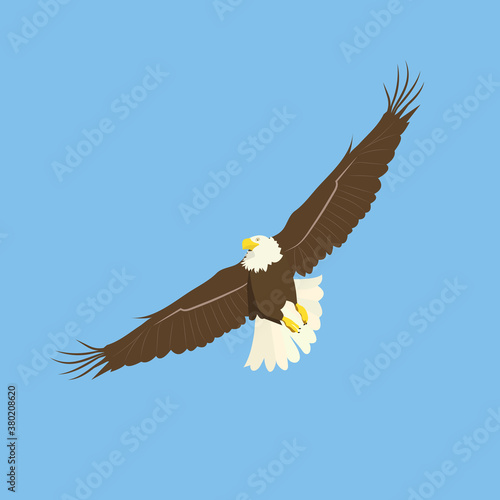 Vector illustration of an eagle in flight.