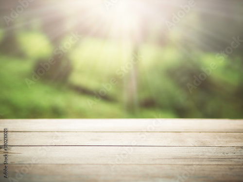 Nature wood baackground