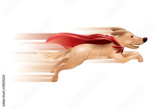 Superhero pet dog