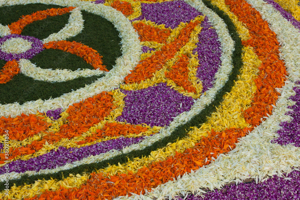 Petal Pictures Stock Photo | Adobe Stock