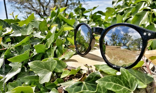 glasses on a green bush