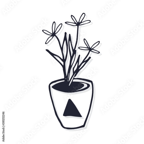 Potted desert plant