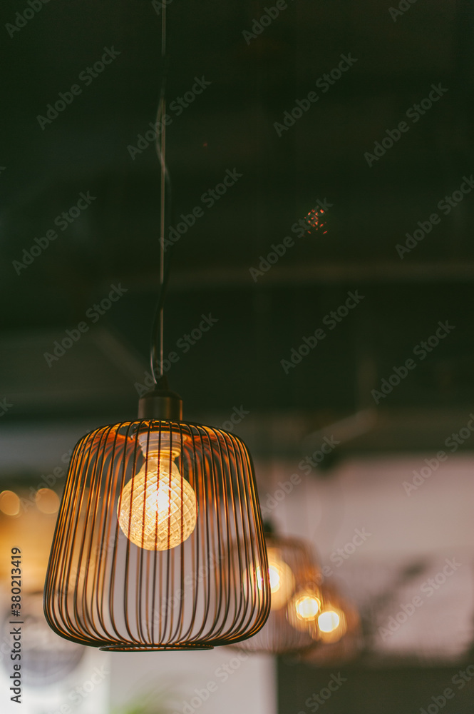 Light Bulb in a Cage - Pendant Light Fixture Light Bulb in a Cage - Pendant Light Fixture
