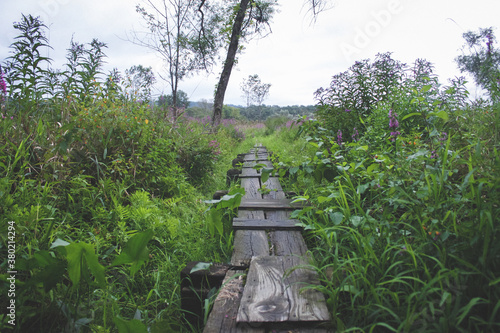 appalachian trail walkway photo