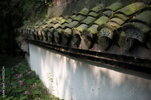 Mossy Shindles in The Shade photo