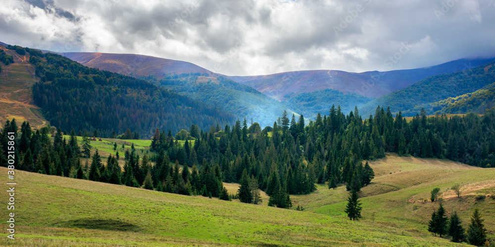 autumnal countryside landscape. beautiful mountain scenery on a cloudy day. green fields rolling through hills in to the forest at the foot of the ridge