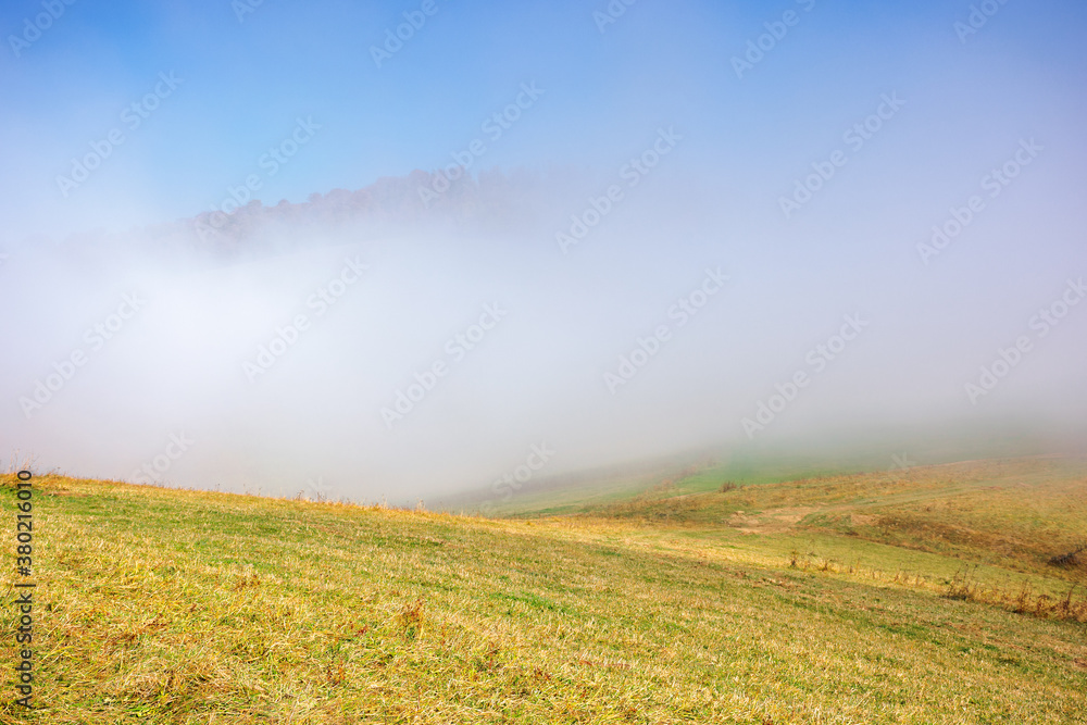 Obraz premium misty morning autumn scenery. mountain landscape with trees in colorful foliage on the grassy meadow
