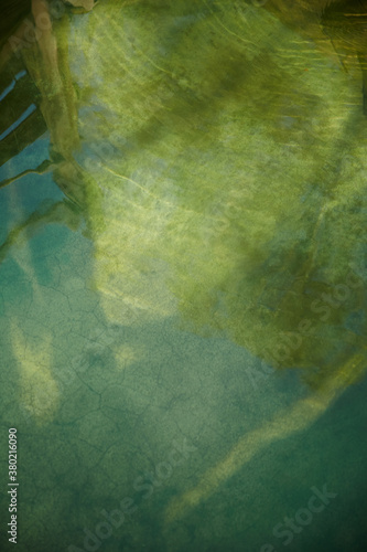 Detail of green water at a hot springs