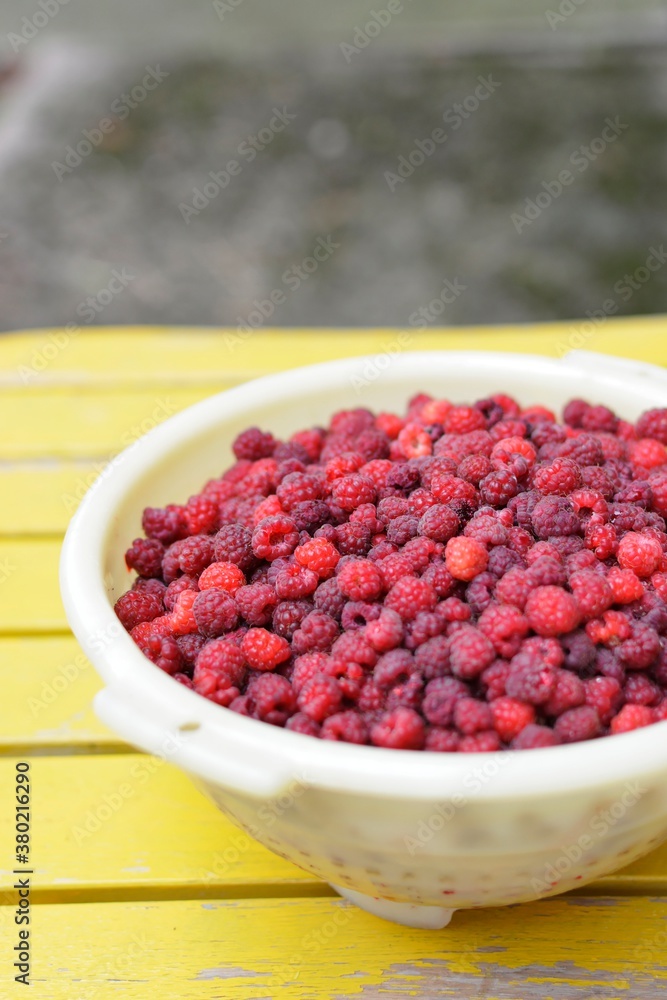Fresh raspberries in a colander Fresh raspberries in a colander