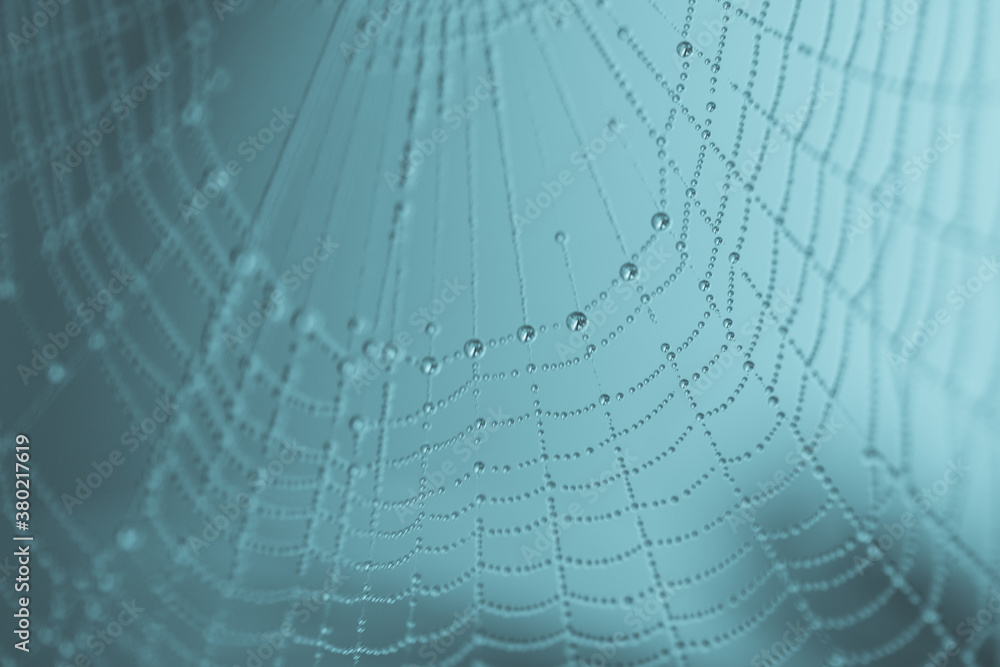 Close up of a droplet filled spider web with a blue background Close up of a droplet filled spider web with a blue background