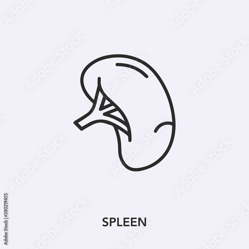spleen icon vector sign symbol