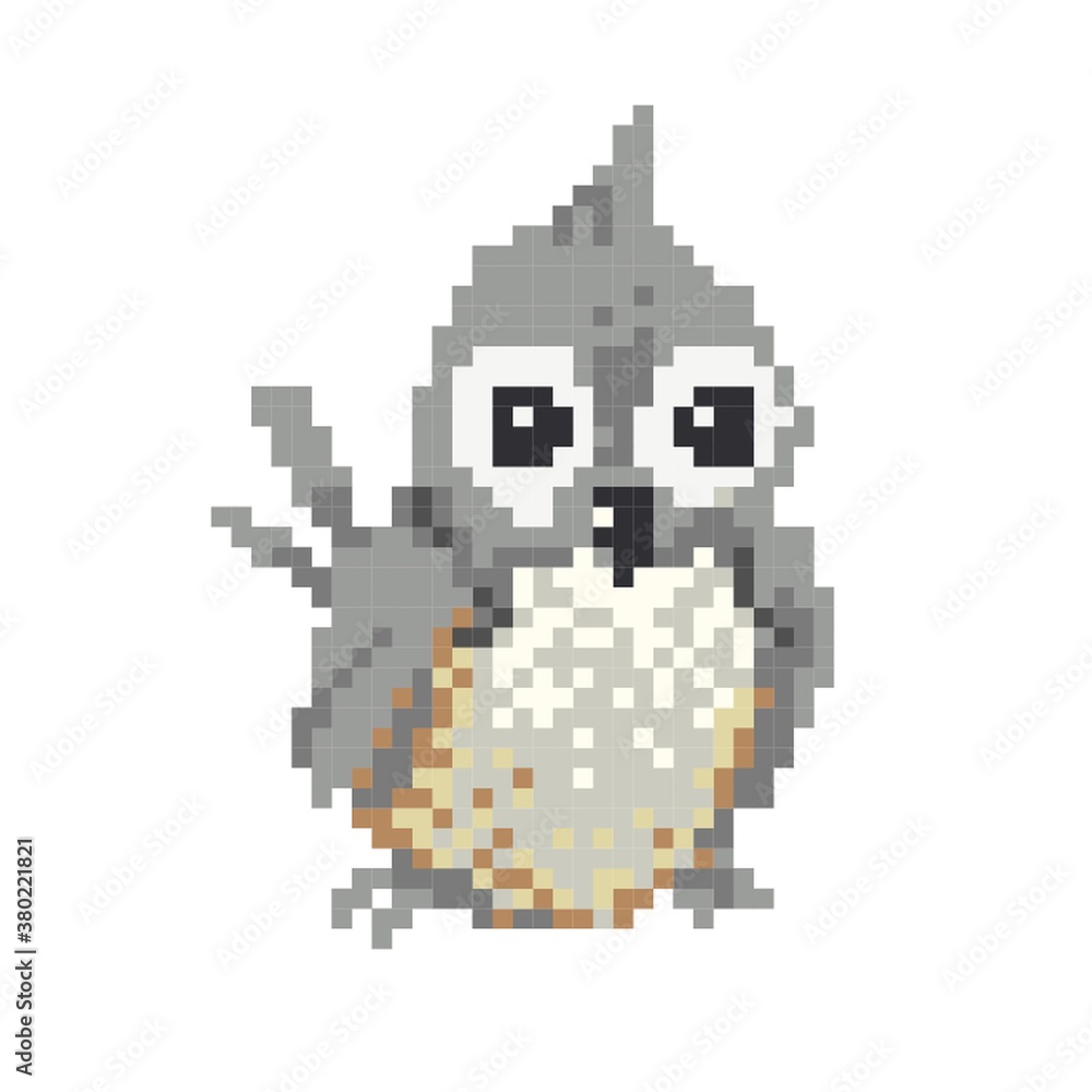 Bird Bird