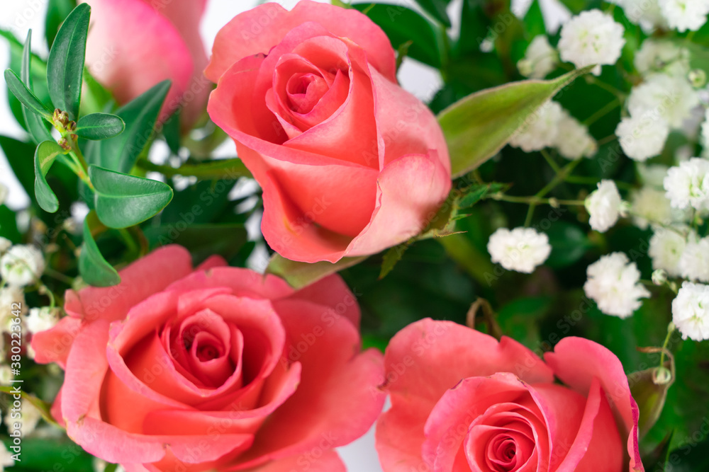 Fototapeta premium Beautiful pink rose flower bouquet