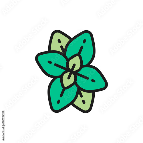 Oregano, mint, basil flat color line icon. Isolated on white background