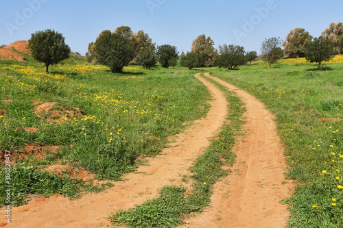 Картината върху платно The rural dirt road passes fields