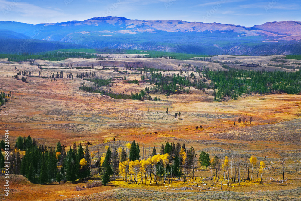 Obraz premium Grandiose landscape in Yellowstone