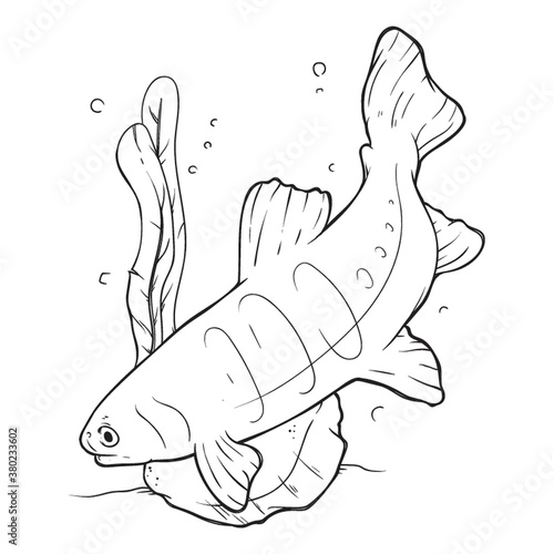 fish swimming design