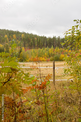 Rural landscape in the fall