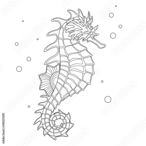 Seahorse reef fish coloring book. Doodle style seahorse fish. Vector illustration isolated on white background.