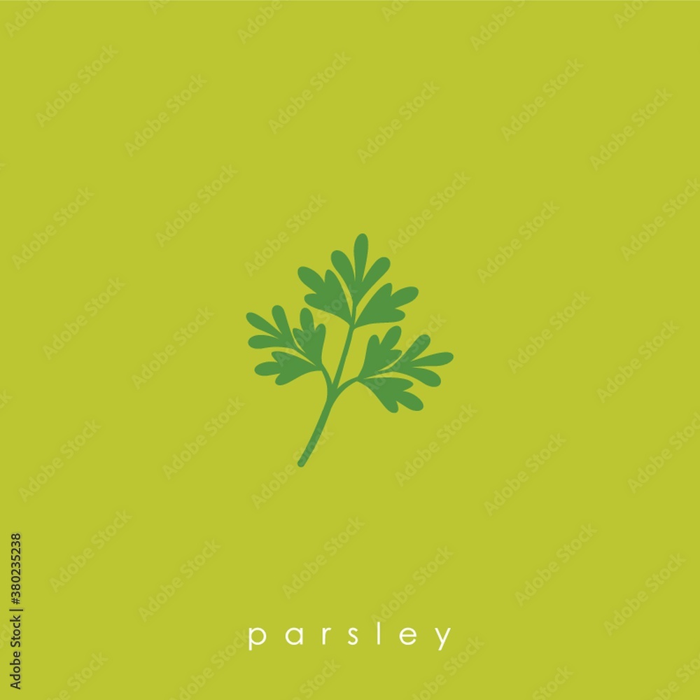 Obraz premium parsley plant
