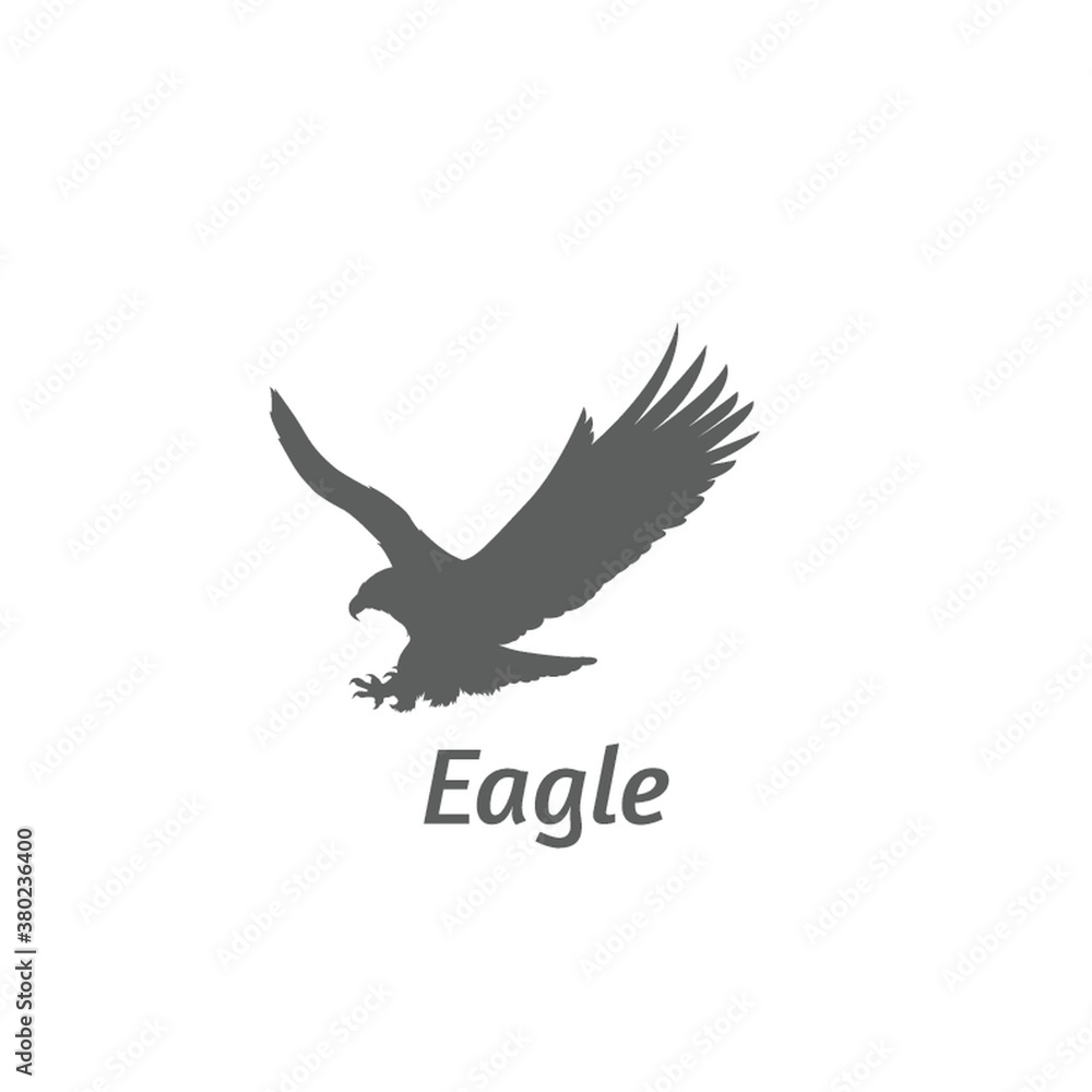Obraz premium Silhouette of eagle flying