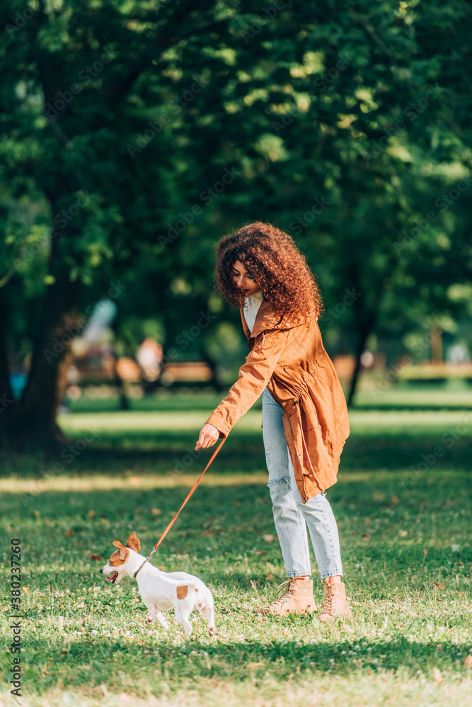 Selective focus of curly woman in raincoat walking on leash jack russell terrier on meadow in park