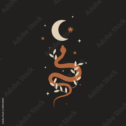 Mystical composition with a wriggling snake, crescent moon, stars on a dark background. Boho style and esotericism. Magic illustration for spiritual practices of ethnic magic and rituals.