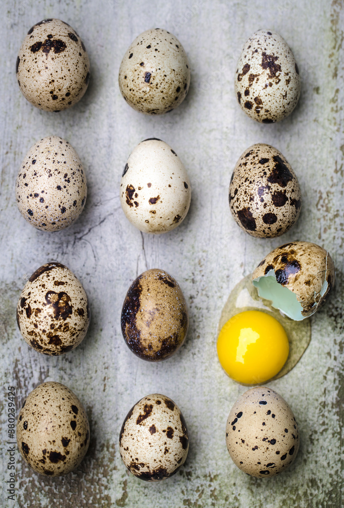 Quail Eggs Quail Eggs