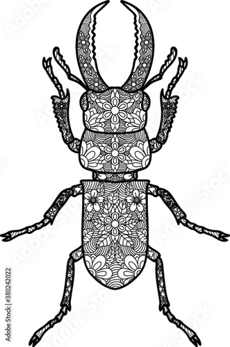 intricate stag beetle design