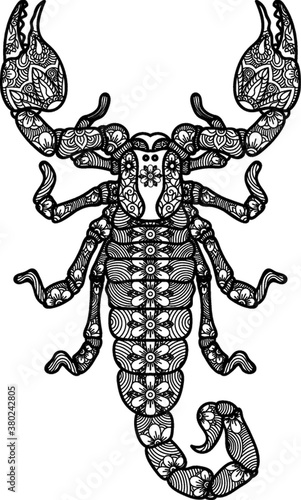 An intricate scorpion design