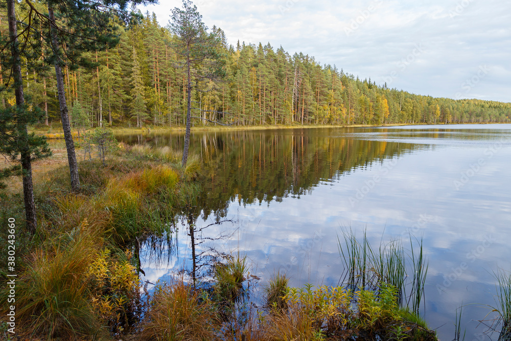 Beautiful view of lush forest, calm lake and reflections at the Helvetinjärvi National Park in the Pirkanmaa region in Finland, on a sunny day at autumn.