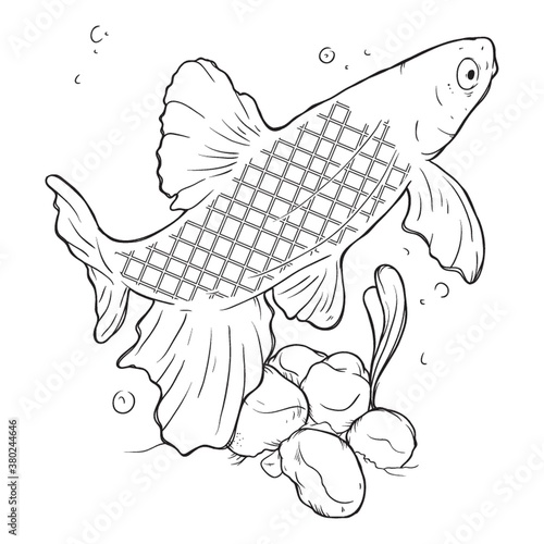 fish swimming design
