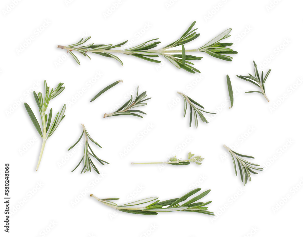 Obraz premium Rosemary isolated on white background. Top View