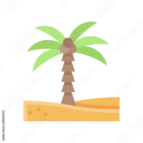 summer holiday related coconut tree on sand with leafs and coconuts vector in flat style,