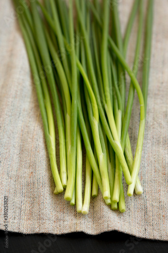 Raw Green Onions on cloth, low angle view. Close-up.