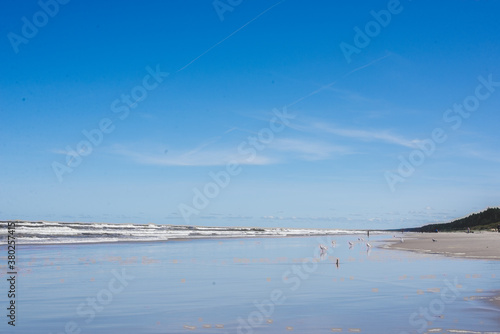 Baltic sea beach on a sunny day 