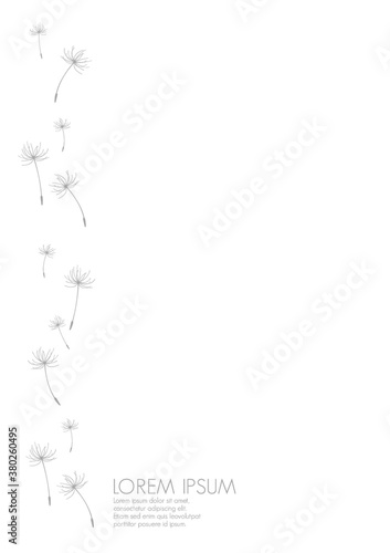 Fototapeta Naklejka Na Ścianę i Meble -  simple background with flying dandelion florets
