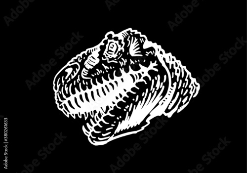 vector portrait of tyrannosaurus  isolated on black background, element for typography 
