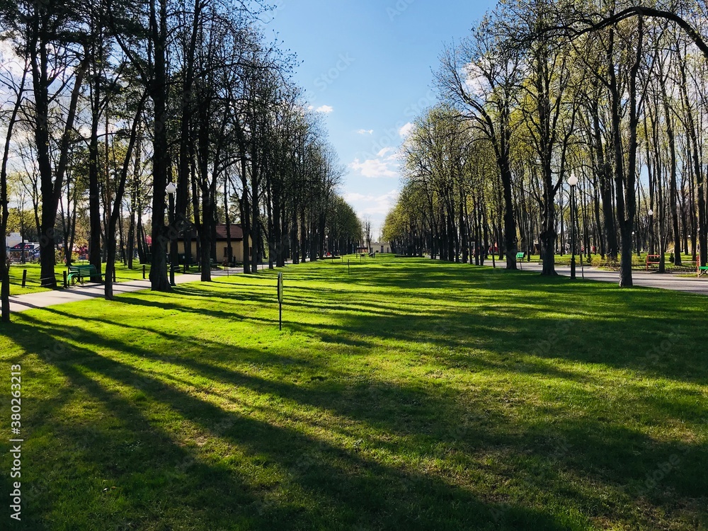 Obraz premium park in spring
