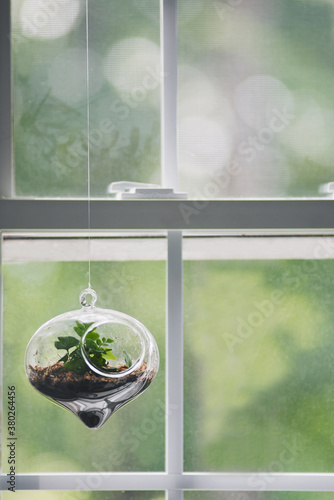 Terrarium photo