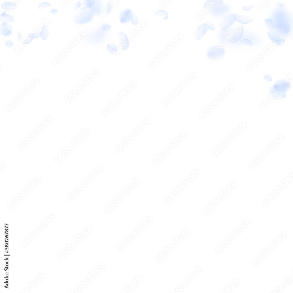 Light blue flower petals falling down. Resplendent Light blue flower petals falling down. Resplendent