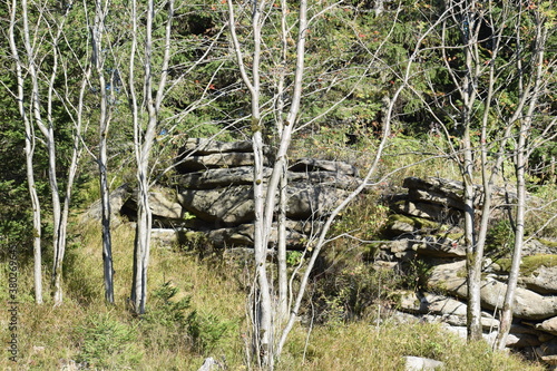 Braunlage -Harz, Bikepark