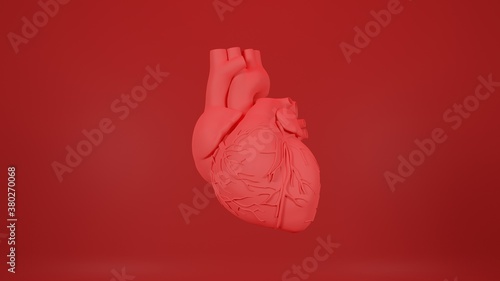 Human heart 3d render red background circulatory system anatomy