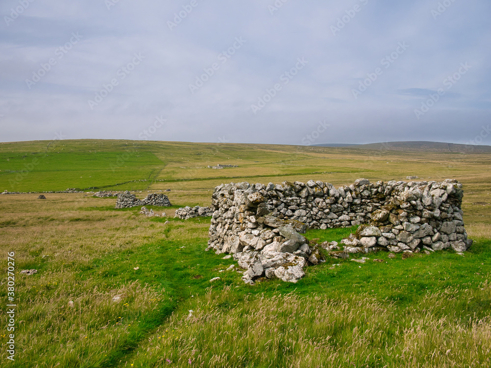 A row of planticrubs near the Loch of Funzie on the island of Fetlar in Shetland, UK. A planticrub is a small circular dry-stone enclosure used traditionally in Shetland for growing young kale plants.