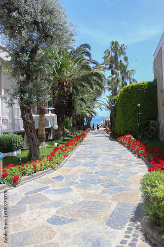 Green beautiful territory of the hotel