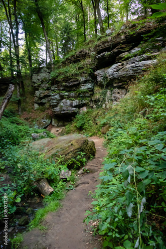 Path in a Luxembourg forest surrounded by green trees and rocks. 