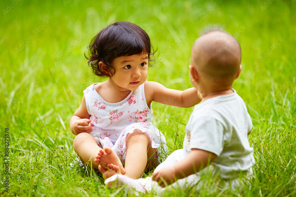 lovely little friends sitting in the meadow lovely little friends sitting in the meadow