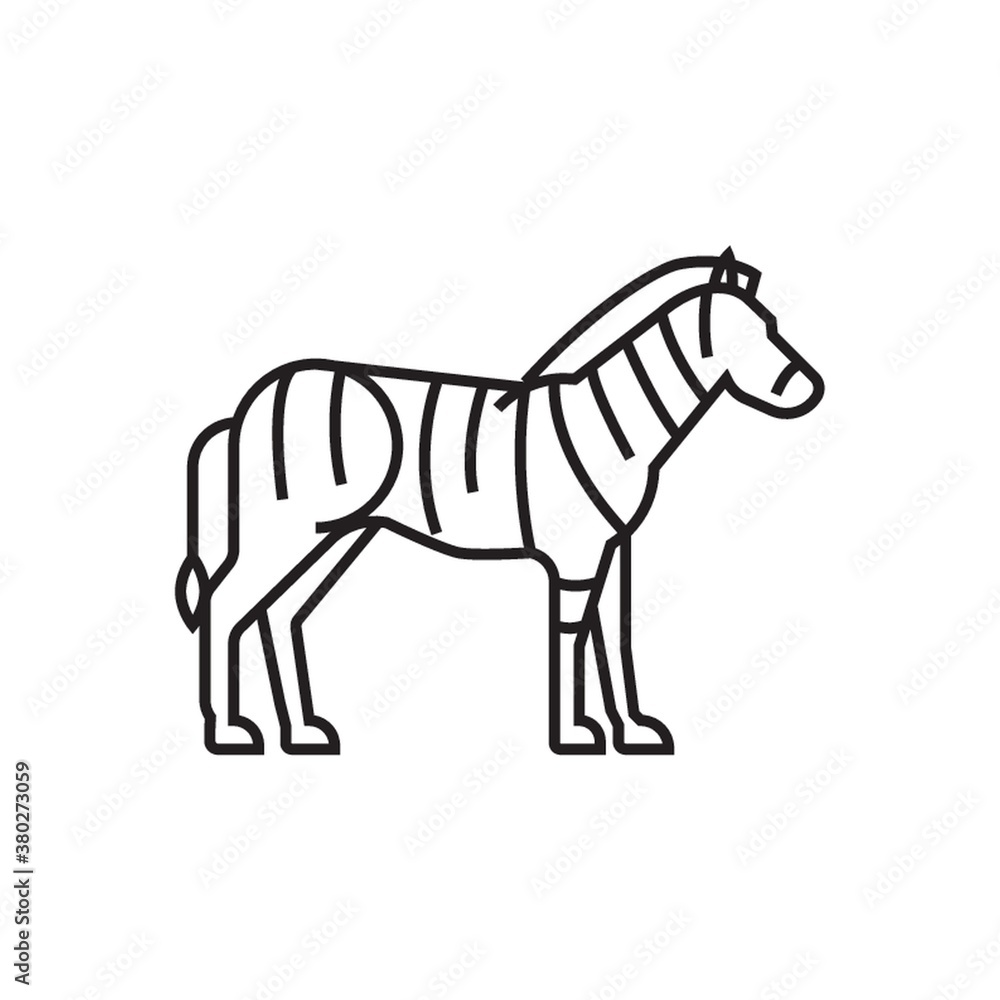Fototapeta premium zebra