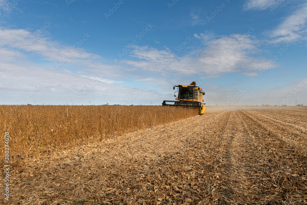 Obraz premium Harvesting combine in the wheat.