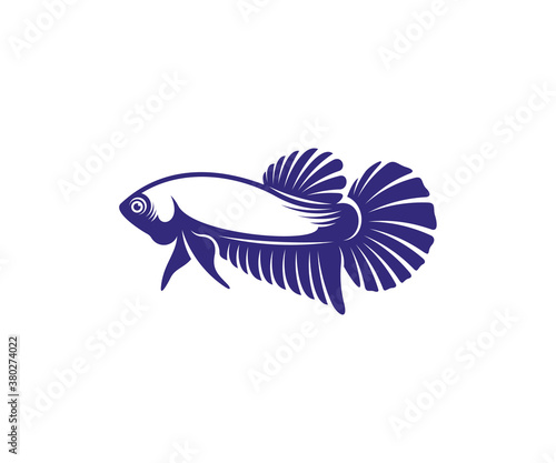 Betta fish vector illustration, fighting fish logo design template